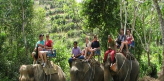 Elephant Trekking in Laos
