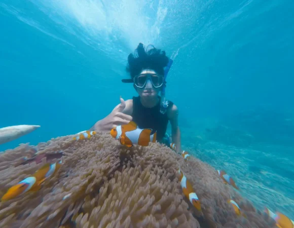 Bali’s Underwater Paradise